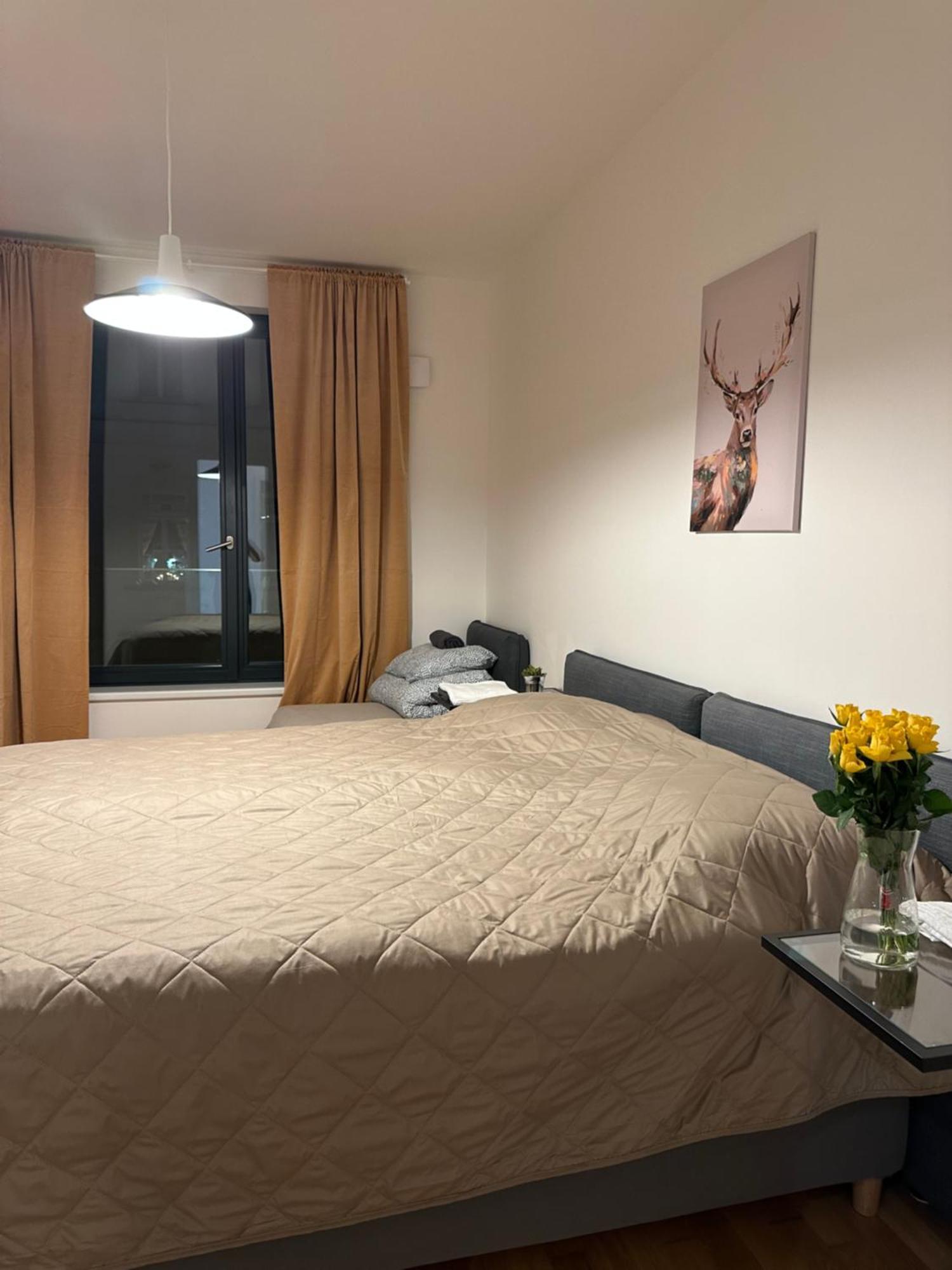 Apartment 4 Room, 2 Bath, Parking 布拉格 外观 照片